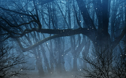 2025년 화담숲 반딧불이 이벤트