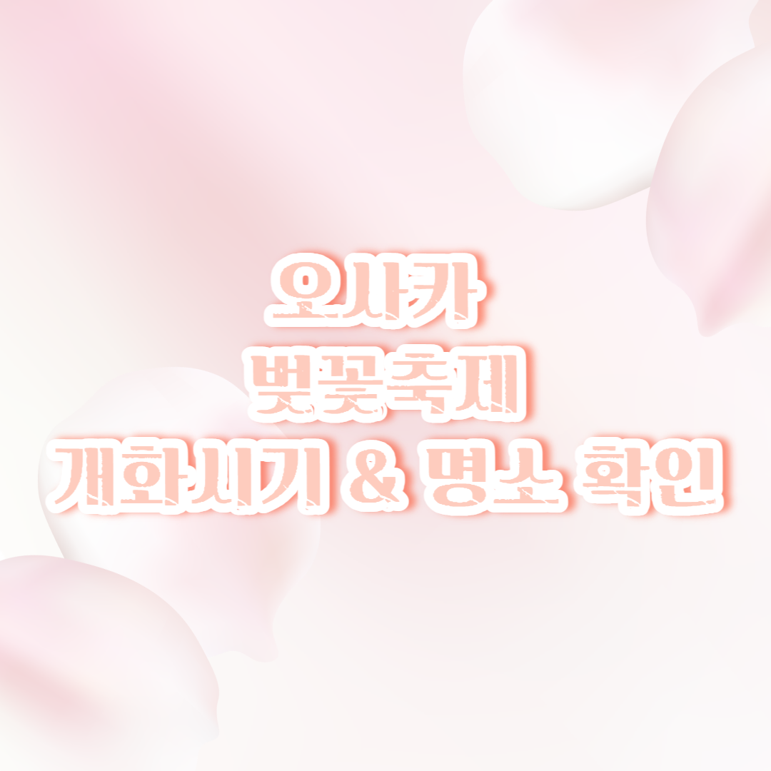 오사카 벚꽃축제 및 개화시기 총 정리