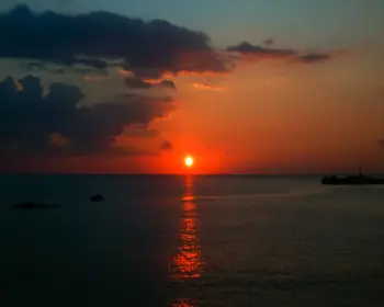 울릉도 여행, 배편 시간표29