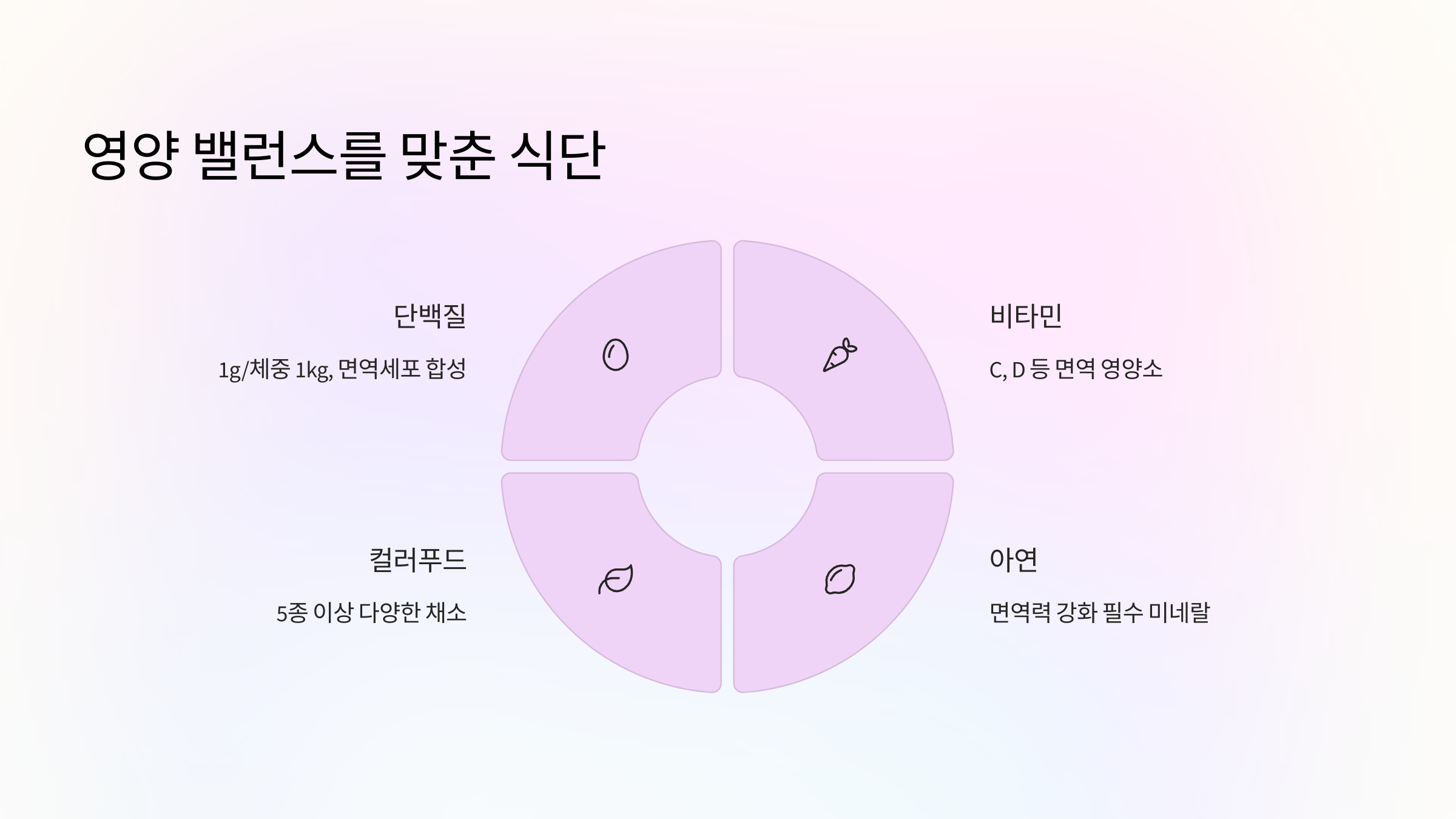 🍽️ 3. 영양 밸런스를 맞춘 식단