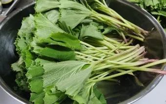 머위 효능 부작용 레시피 꿀팁_11