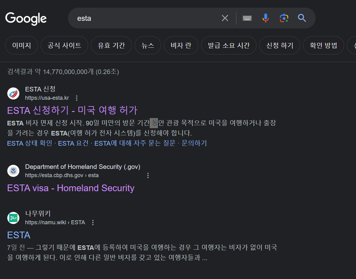 구글 검색 ESTA