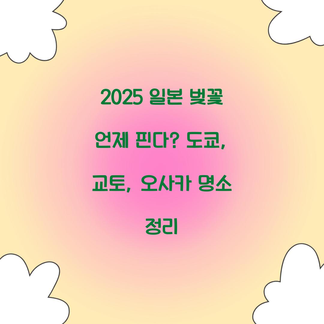 2025 일본 벚꽃