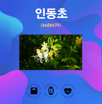 인동초 알아보기
