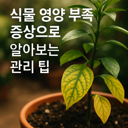 [정원가꾸기_실전편]잎색 변화로 알 수 있는 식물 영양결핍 신호와 회복 방법