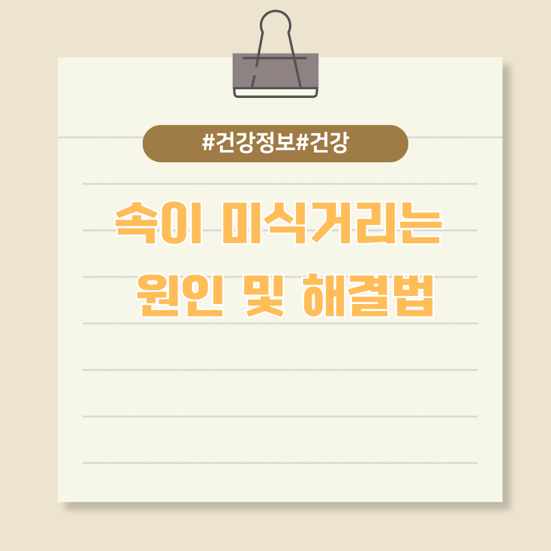 속이 미식거리는 원인 및 해결법