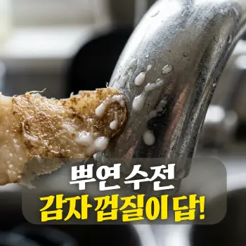 뿌연 수전 감자 껍질이 답!
스테인리스 수전 표면에 맺힌 하얀 녹말 즙과 감자 껍질의 단면이 겹쳐지는 **초밀착 클로즈업(Extreme Close-up)**.