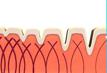 저분자-콜라겐-펩타이드-효능-및-부작용-건강