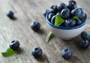 다이어트 식단 추천