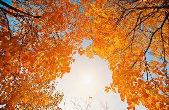 2023λ
λ¨νμκΈ° μμΈ‘μ§λ