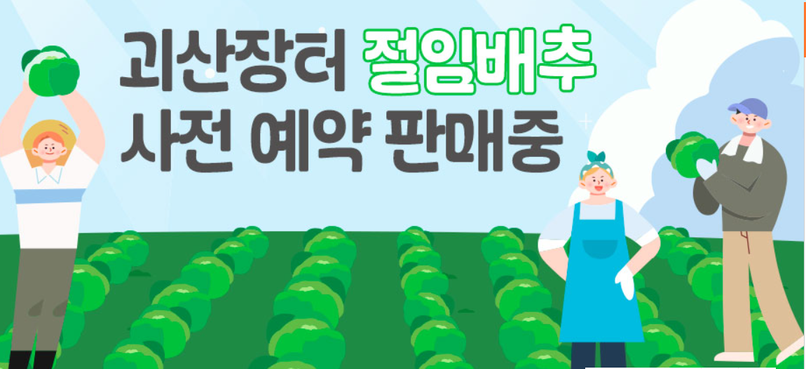 괴산장터 절임배추 사전 예약 판매중입니다.
