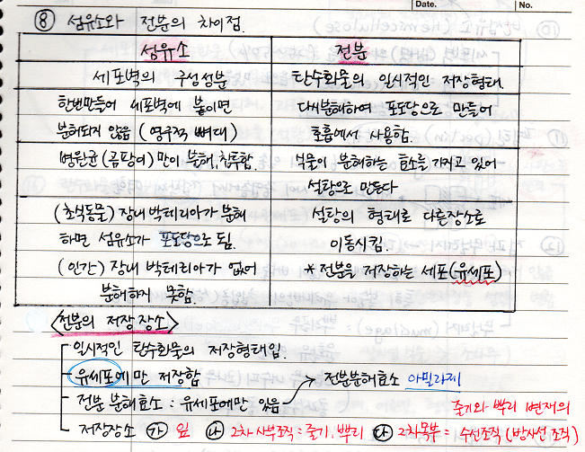 섬유소와 전분의 차이점