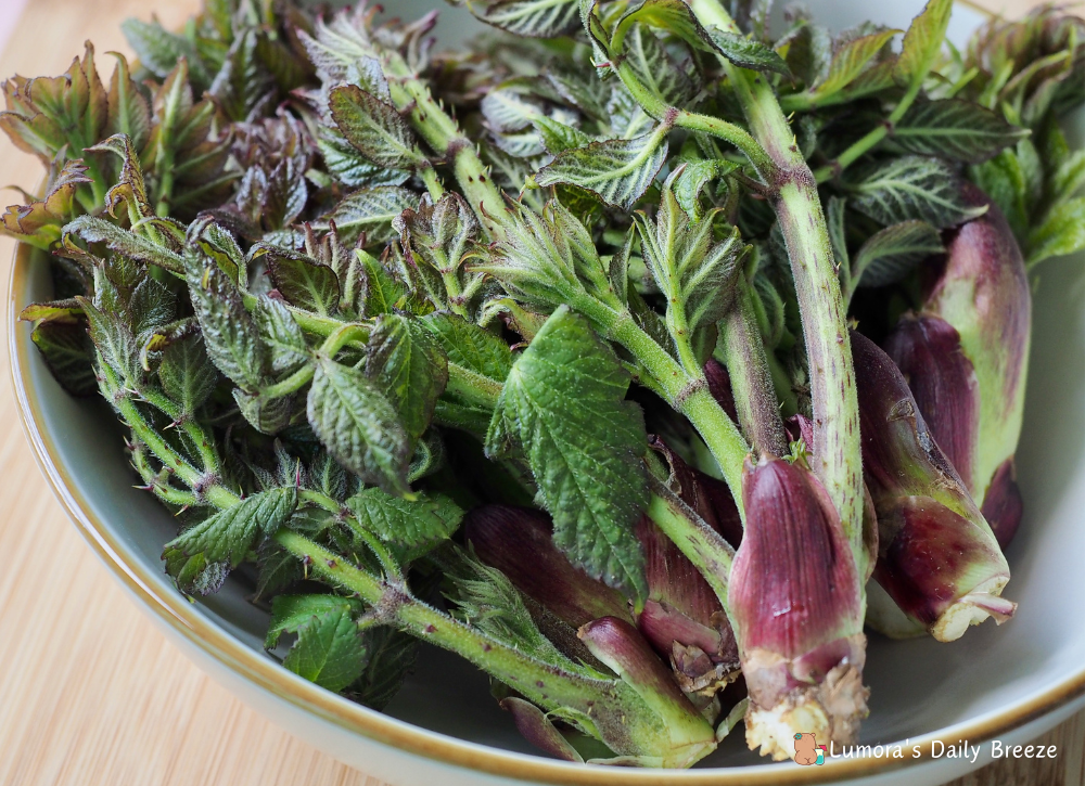 봄의 제왕 생참두릅이 빛깔좋게 접시에 담겨져있다.