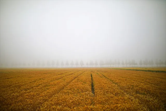 김제 가볼만한곳 베스트10 현지인 추천 필수코스_1
