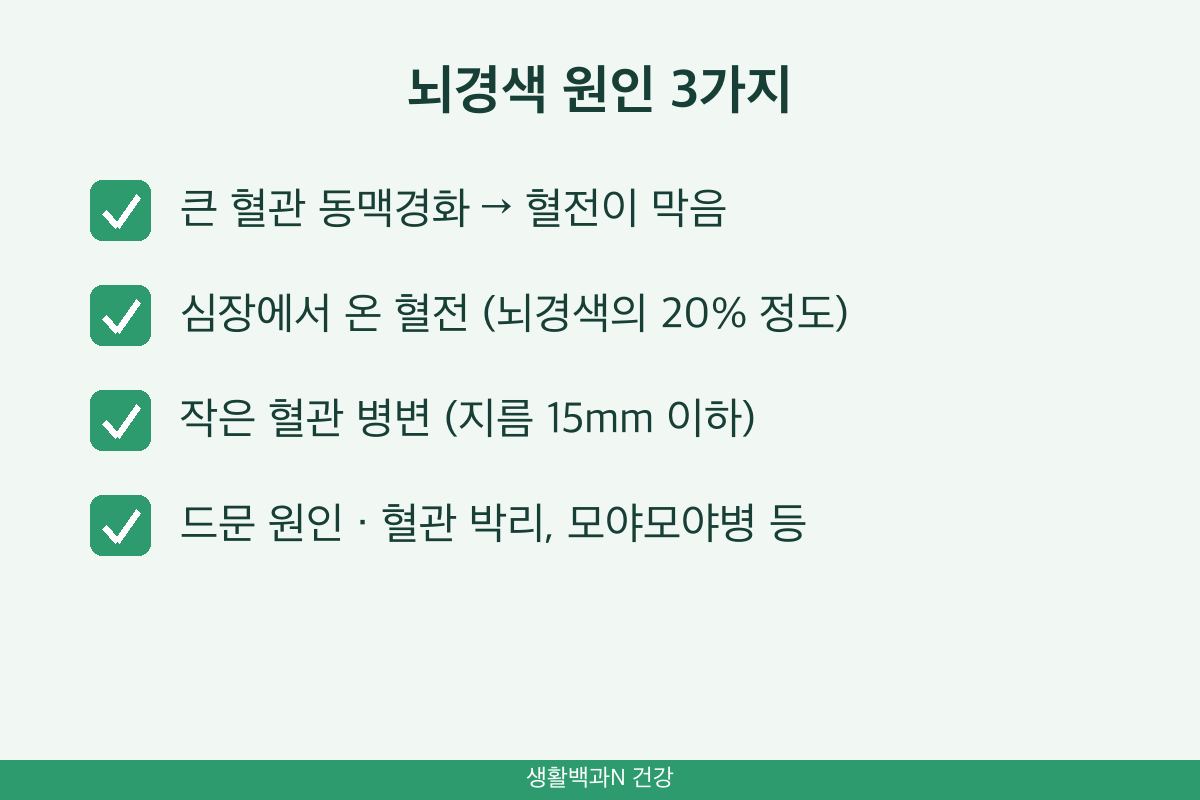 뇌경색 원인 동맥경화 심장성 색전 심방세동 소혈관 열공성 뇌경색
