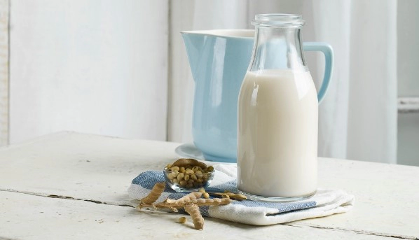 락토페린 다이어트 효능