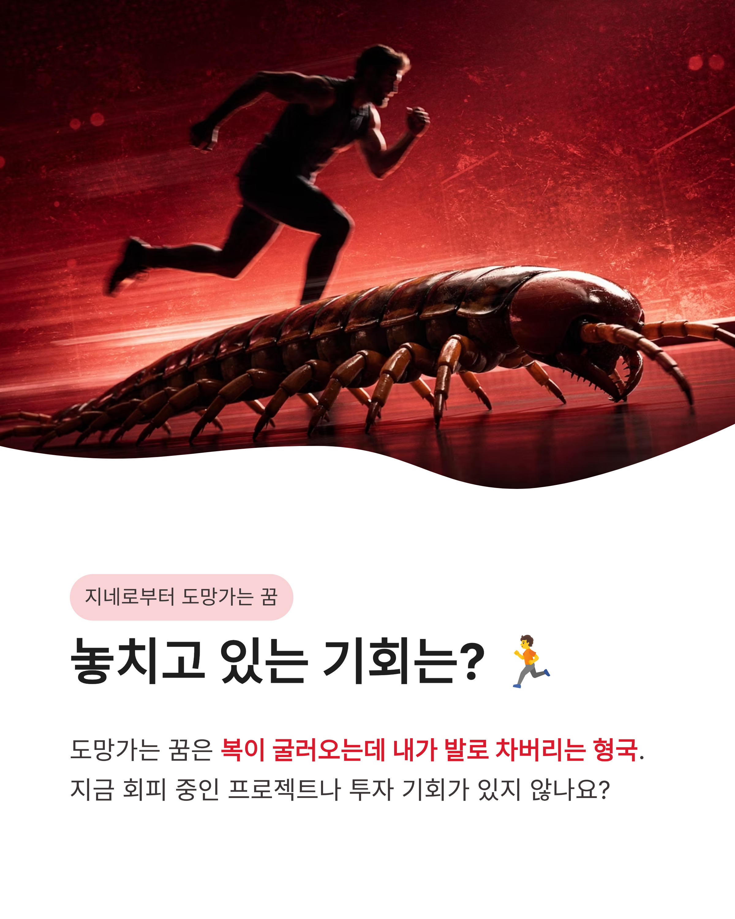 지네 꿈 해몽, 큰 지네에게 물리는 꿈부터 도망가는 꿈까지! 행운의 징조일까?