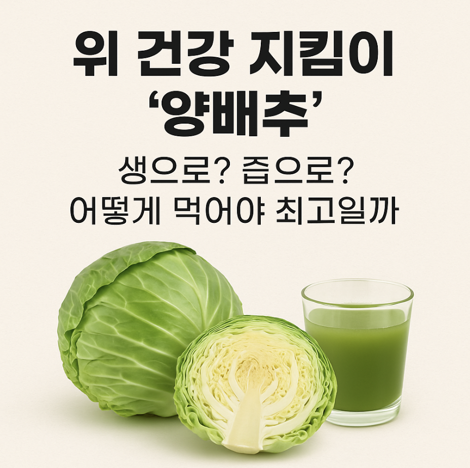 위 건강 지킴이 '양배추', 생으로? 즙으로? 어떻게 먹어야 최고일까
