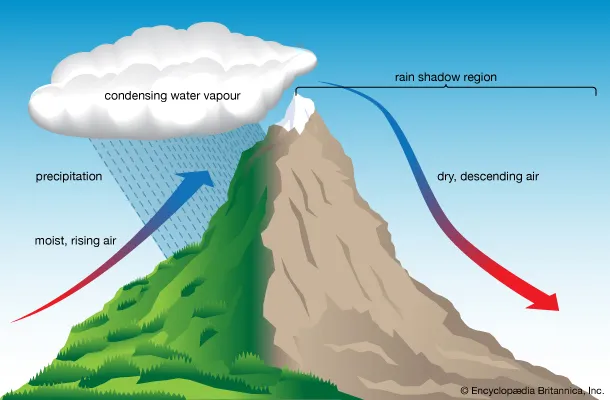 Microclimate