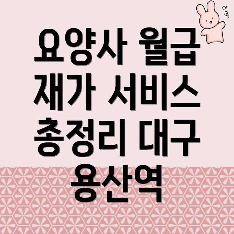대구 요양보호사