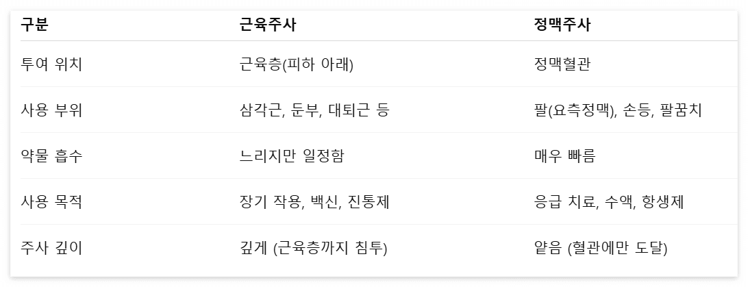 근육주사와 정맥주사 비교