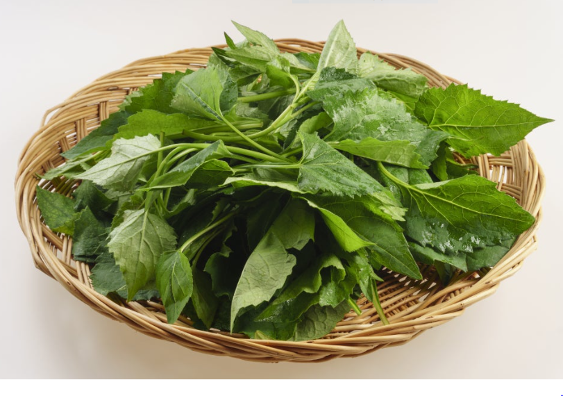 취나물 요리 관련 사진