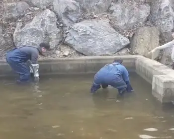양평 수미마을 빙송어축제_7