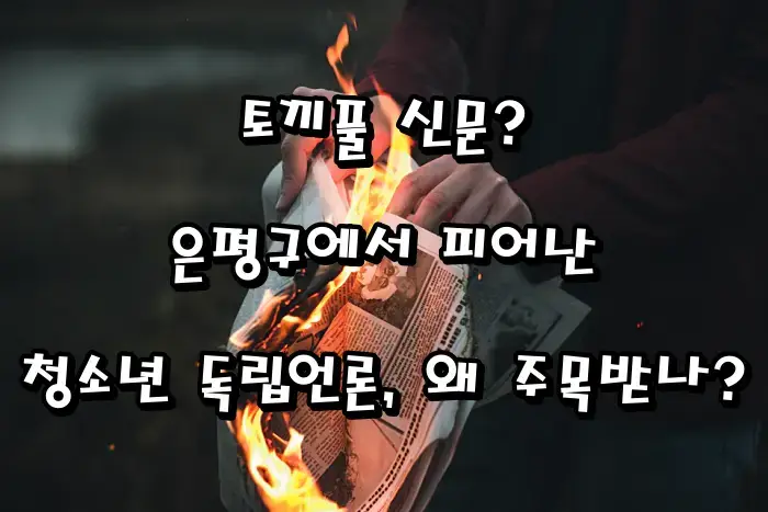토끼풀 신문|은평구에서 피어난 청소년 독립언론, 왜 주목받나?