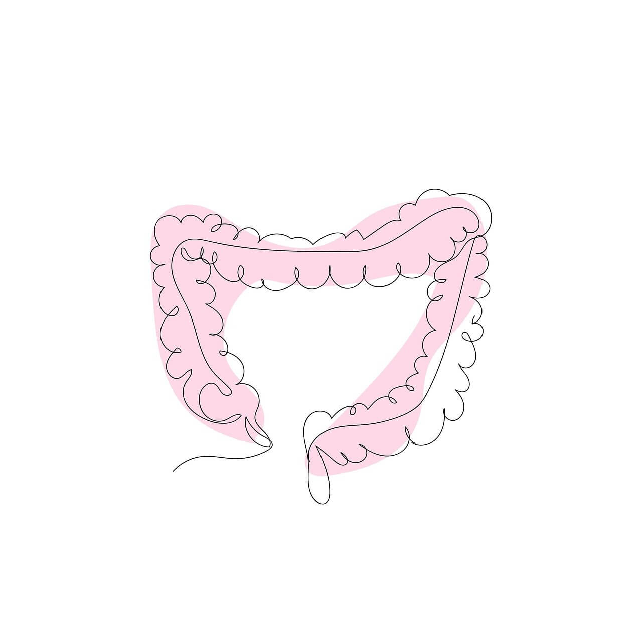 유산균 먹는시간