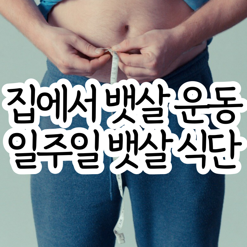 뱃살 다이어트 집에서 뱃살 빼는 운동 뱃살 빼는 식단