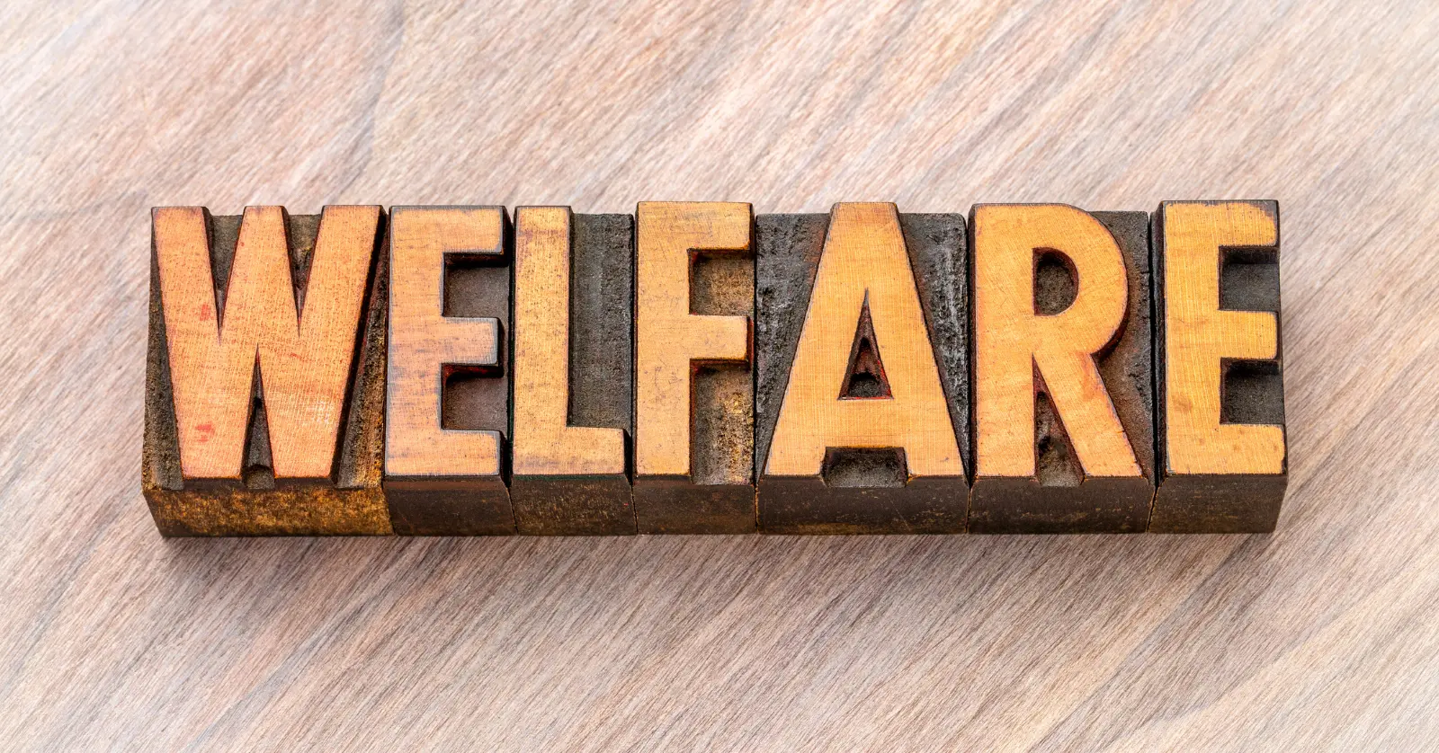 서비스 제공기관 찾기 및 이용 절차