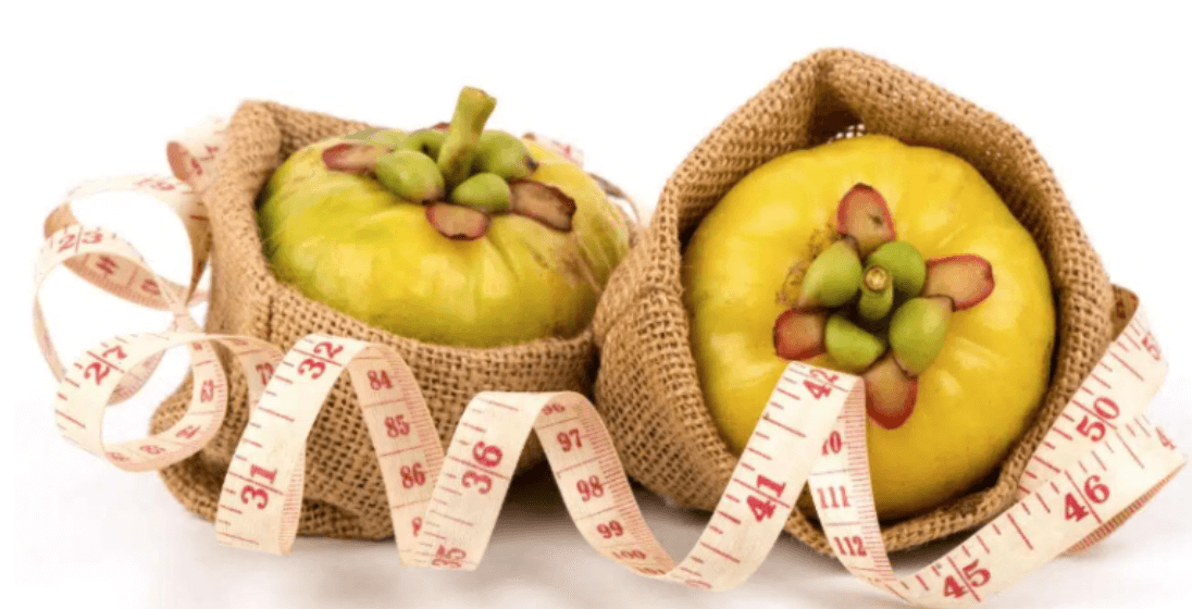 가르시니아 다이어트