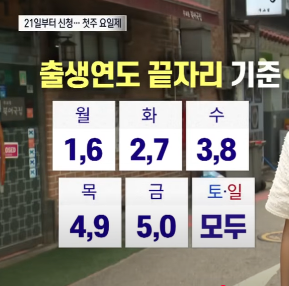 민생 소비 쿠폰
