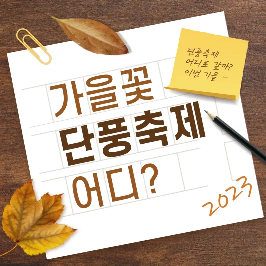 가을 단풍 가을꽃 축제