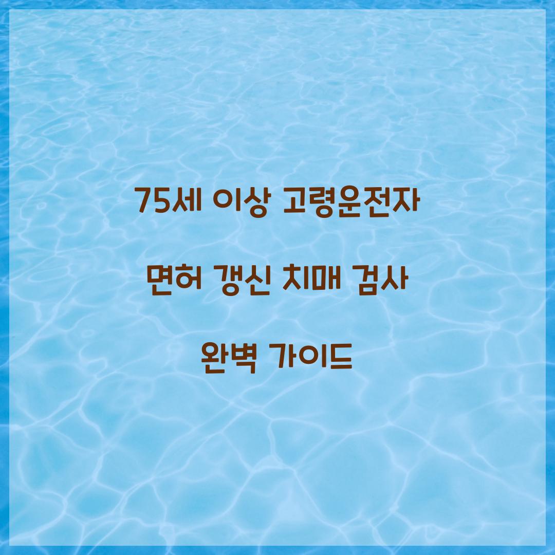 75세 이상 고령운전자