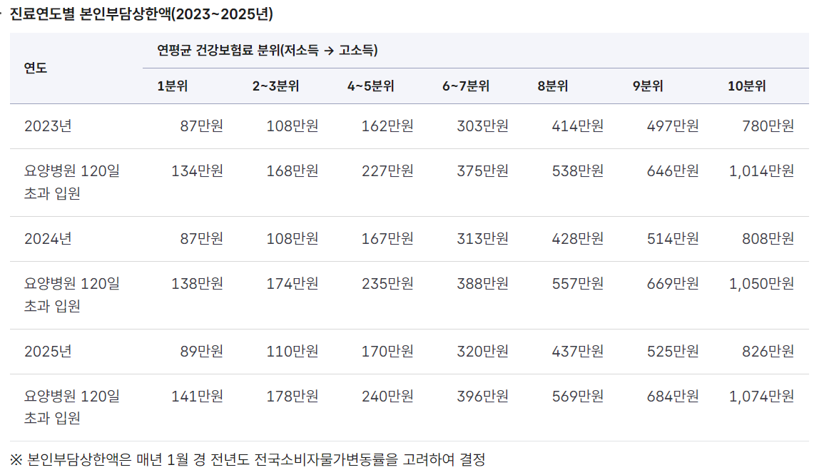 본인부담상한제 환급