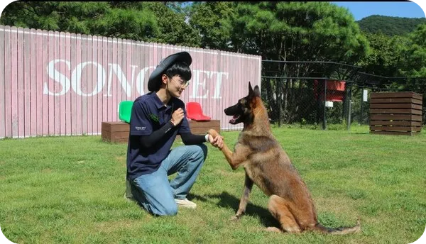 강원도 홍천 반려견 숙박 단기 장기 위탁 서비스 강아지 레스토랑 가격 힐링 케어 호텔
