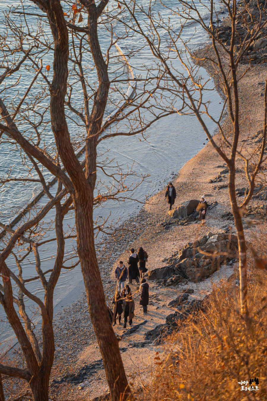 안산 구봉도 바닷길