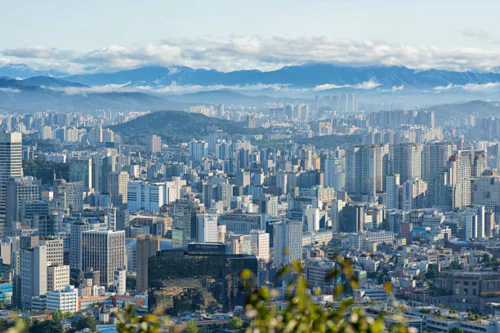 서울시 장애인 치과비용지원 11