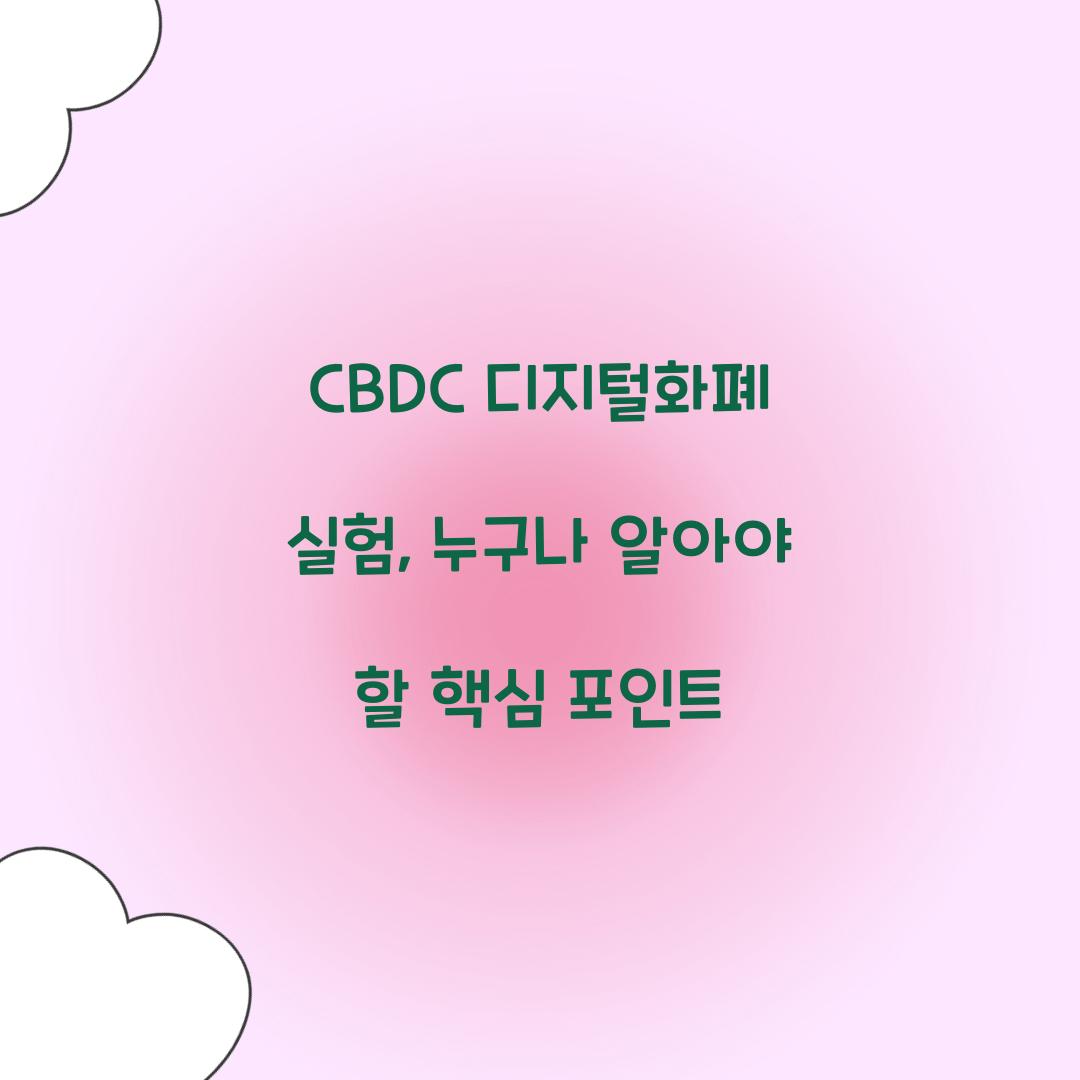 CBDC 디지털화폐 실험