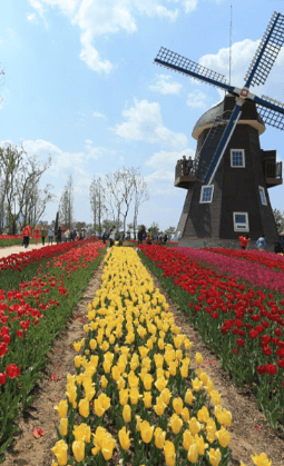 레일크루즈 해랑열차 효도관광 서부권 1박 2일 코스 일정 예약 가격