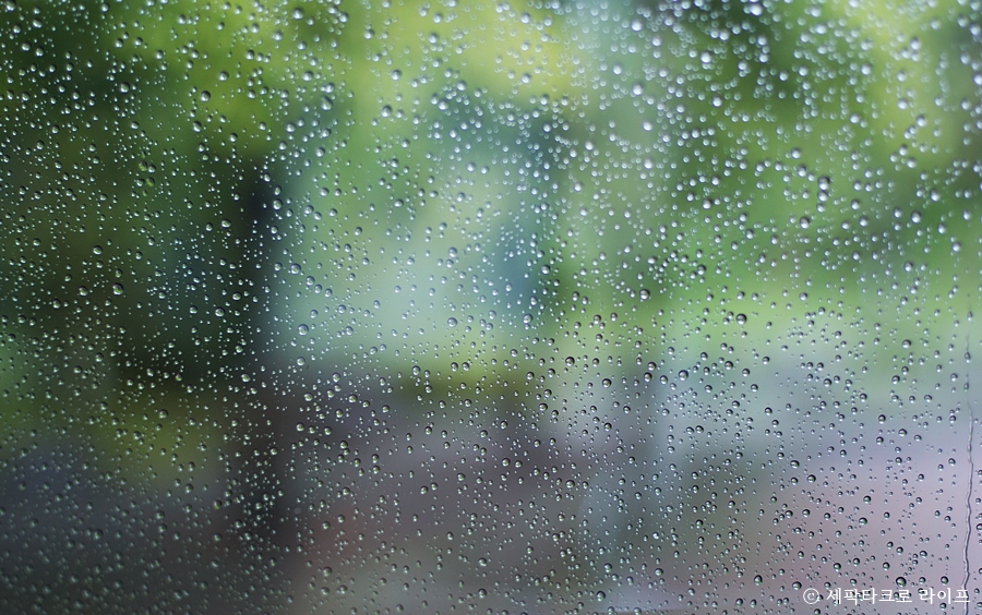 빗방울사진