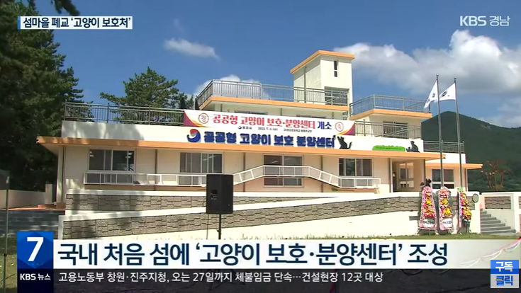 통영 고양이 학교