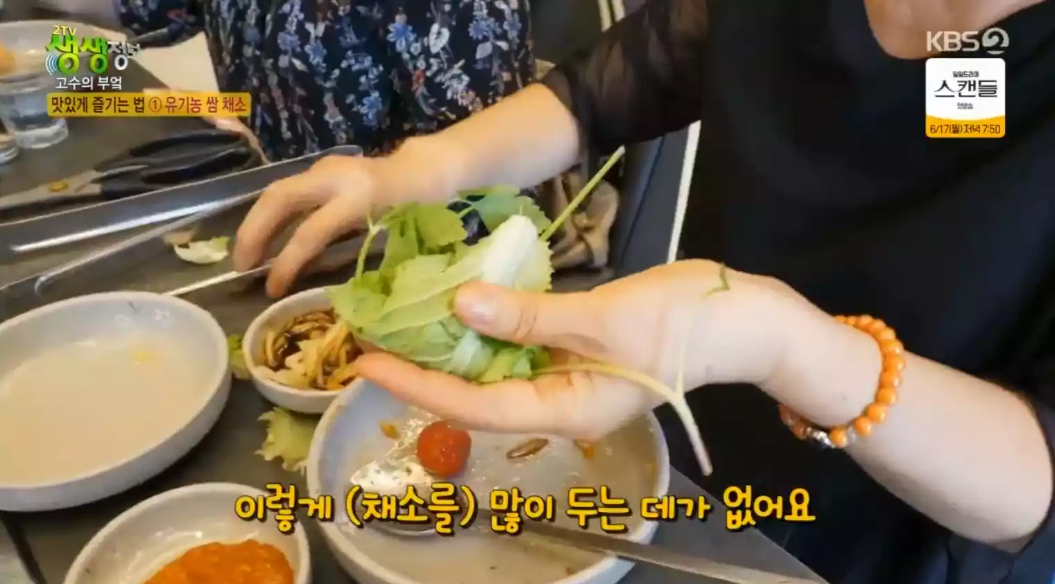 쌈채소 싸먹기