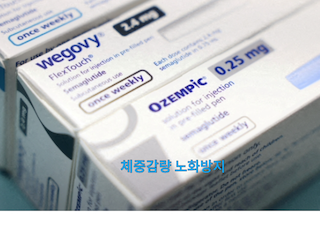 체중-노화방지