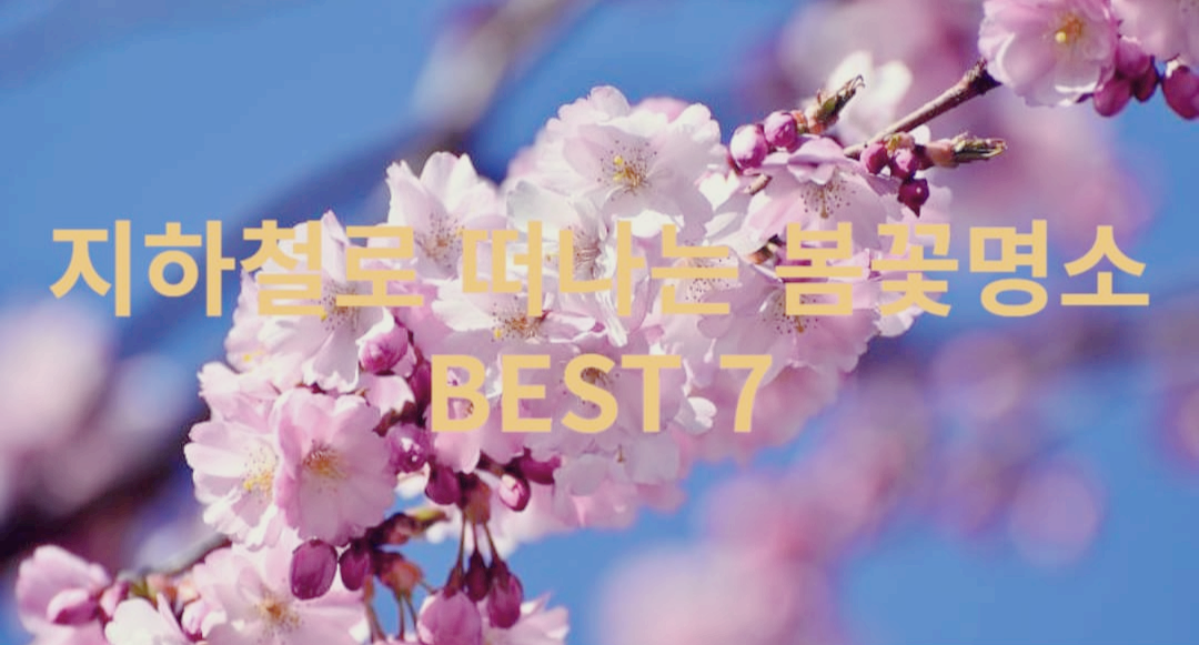 서울 지하철로 떠나는 봄꽃 명소 7곳