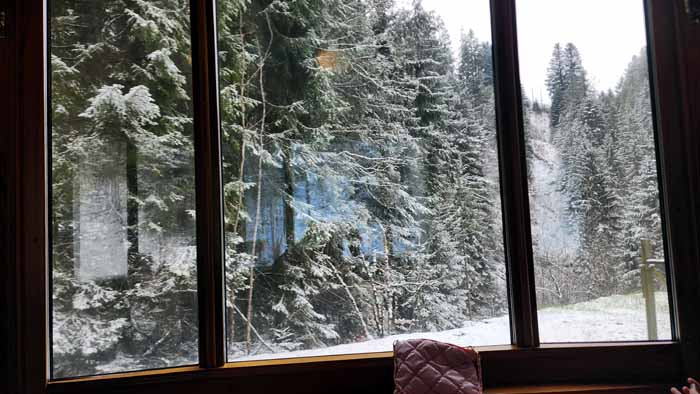 몽트뢰를 벗어나자 눈 내리는 알프스를 보여주었다.