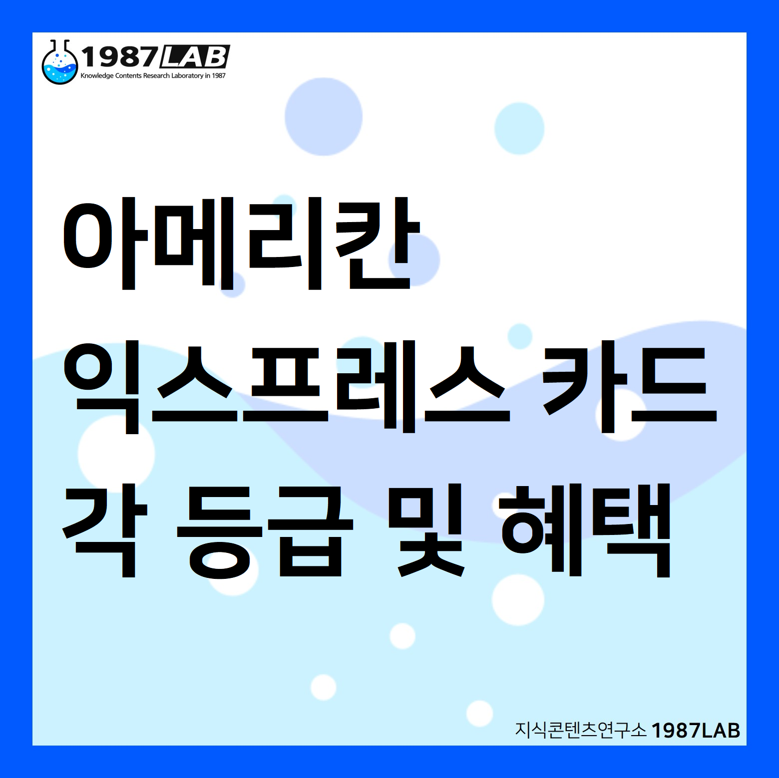 아메리칸 익스프레스 카드 각 등급 및 혜택