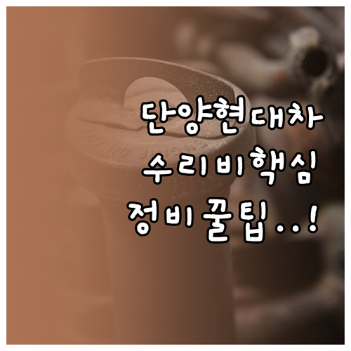 충북 단양 현대자동차 경정비 및 중정..