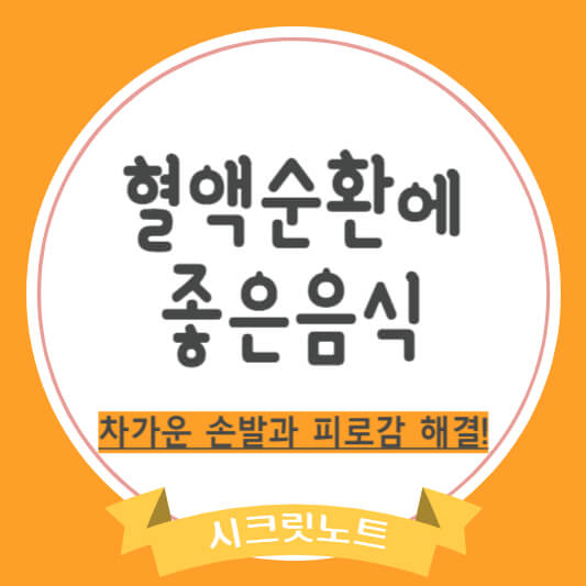 혈액순환